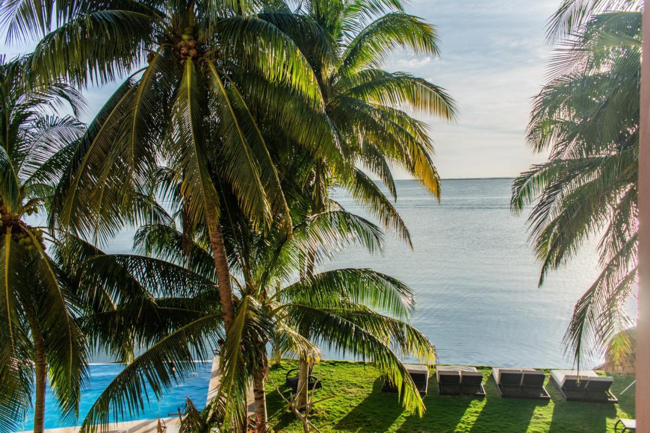 Casa Tortugas Boutique Hotel - Cancun Hidden Gem Dış mekan fotoğraf